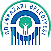 Odunpazarı