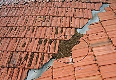 Gider Yolunun Tıkanması